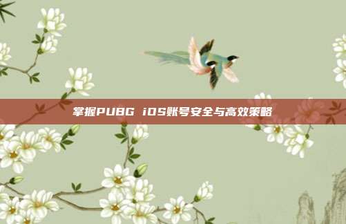 掌握PUBG iOS账号安全与高效策略