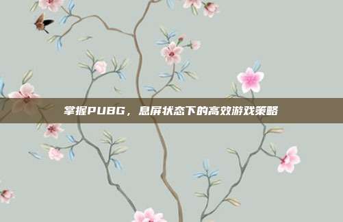 掌握PUBG，息屏状态下的高效游戏策略