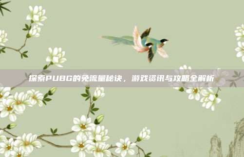 探索PUBG的免流量秘诀，游戏资讯与攻略全解析