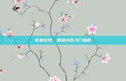 穿越火线,普通大区入门指南