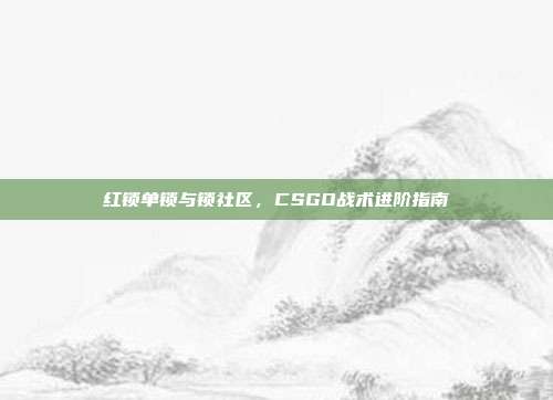 红锁单锁与锁社区，CSGO战术进阶指南