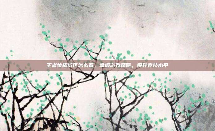 王者荣耀街区怎么看，掌握游戏精髓，提升竞技水平