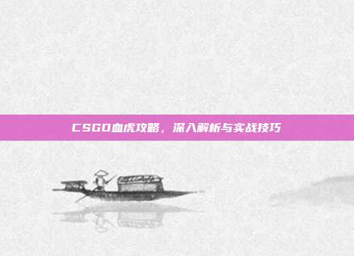 CSGO血虎攻略，深入解析与实战技巧