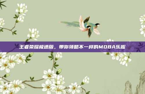 王者荣耀极速版，带你领略不一样的MOBA乐趣