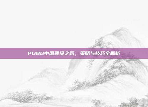 PUBG中国晋级之路,策略与技巧全解析