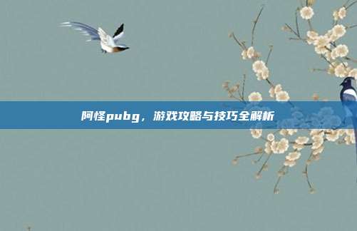 阿怪pubg，游戏攻略与技巧全解析