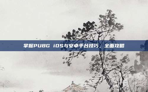 掌握PUBG iOS与安卓平台技巧,全面攻略