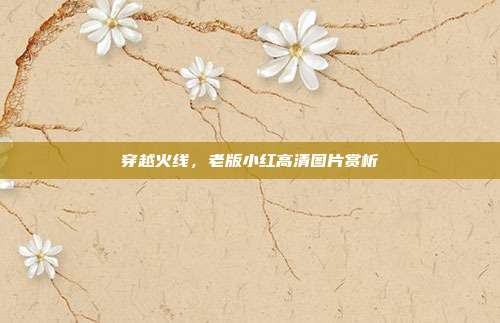 穿越火线，老版小红高清图片赏析