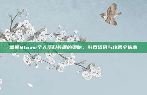 掌握Steam个人资料长框的奥秘，游戏资讯与攻略全指南