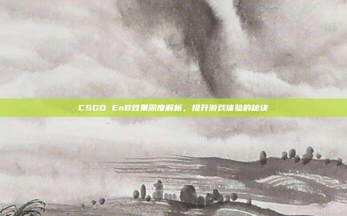 CSGO EnB效果深度解析，提升游戏体验的秘诀