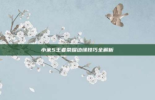 小米5王者荣耀边缘技巧全解析