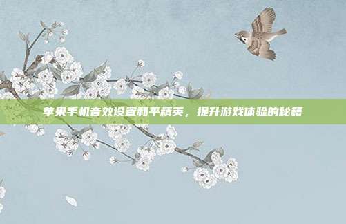 苹果手机音效设置和平精英，提升游戏体验的秘籍