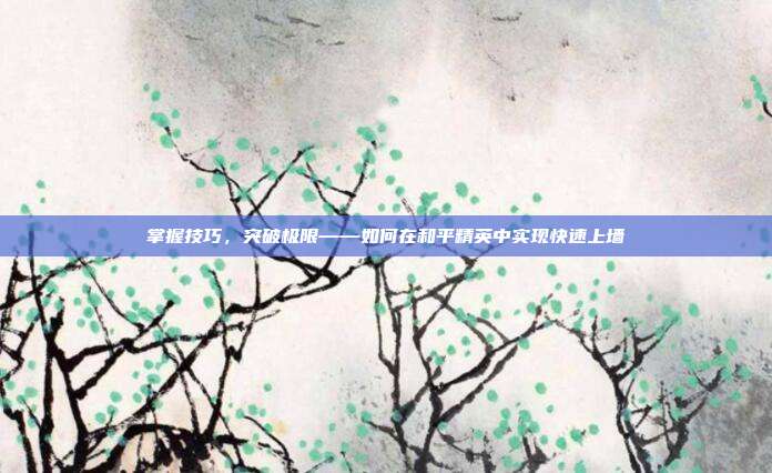 掌握技巧,突破极限——如何在和平精英中实现快速上墙