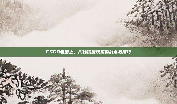 CSGO老皇上,揭秘顶级玩家的战术与技巧
