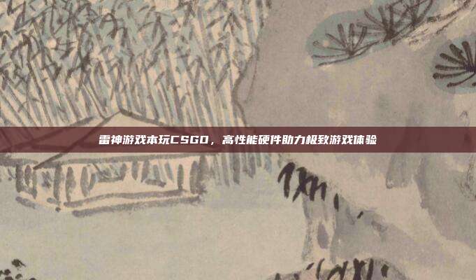 雷神游戏本玩CSGO,高性能硬件助力极致游戏体验