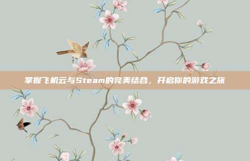 掌握飞机云与Steam的完美结合，开启你的游戏之旅