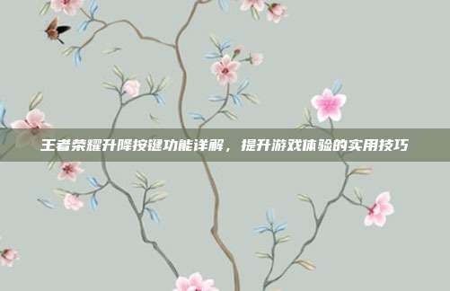 王者荣耀升降按键功能详解，提升游戏体验的实用技巧