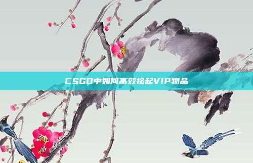 CSGO中如何高效捡起VIP物品