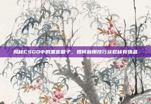 揭秘CSGO中的黑客箱子，如何利用技巧获取稀有物品