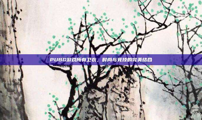 PUBG游戏所有卫衣,时尚与竞技的完美结合