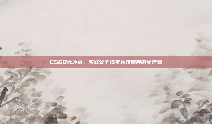CSGO无菠菜,游戏公平性与竞技精神的守护者