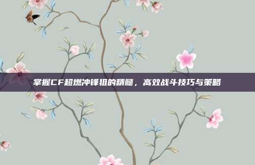 掌握CF超燃冲锋狙的精髓,高效战斗技巧与策略