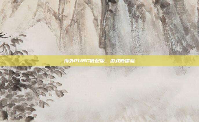 海外PUBG低配版,游戏新体验