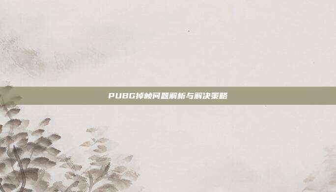 PUBG掉帧问题解析与解决策略