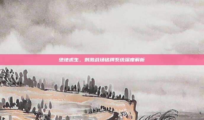 绝地求生，刺激战场铭牌系统深度解析
