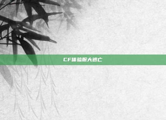 CF体验服大逃亡