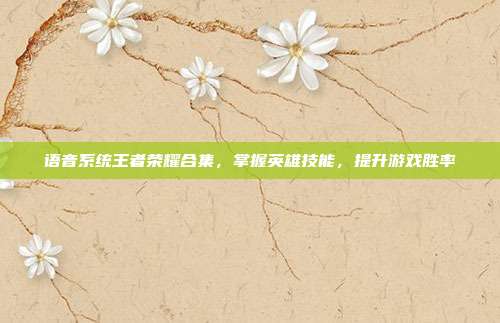 语音系统王者荣耀合集，掌握英雄技能，提升游戏胜率