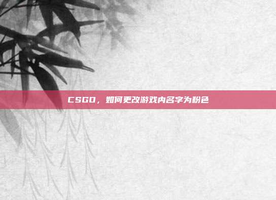 CSGO,如何更改游戏内名字为粉色