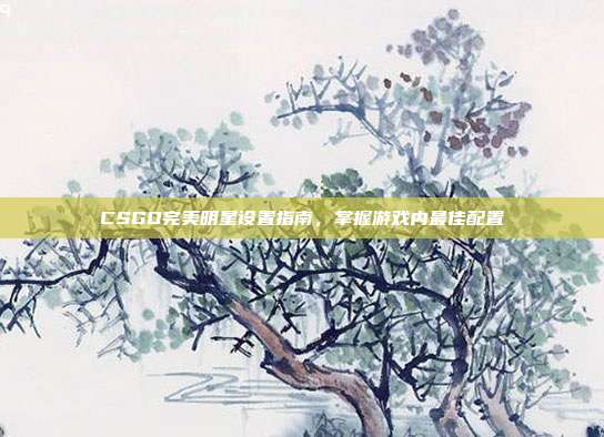 CSGO完美明星设置指南，掌握游戏内最佳配置
