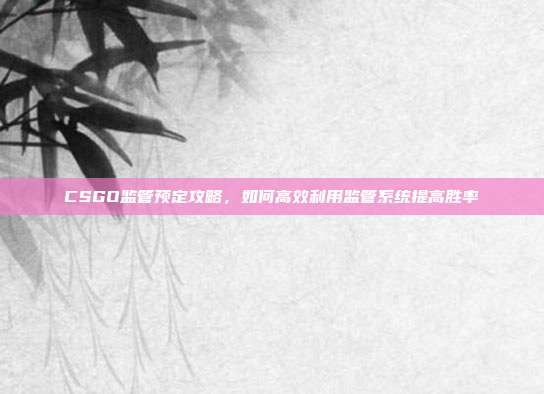 CSGO监管预定攻略，如何高效利用监管系统提高胜率
