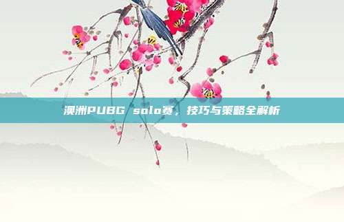 澳洲PUBG solo赛，技巧与策略全解析
