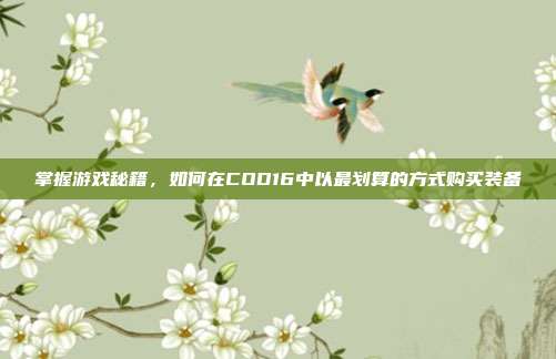 掌握游戏秘籍,如何在COD16中以最划算的方式购买装备