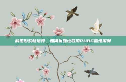 解锁游戏新境界,如何优雅地取消PUBG翻墙限制