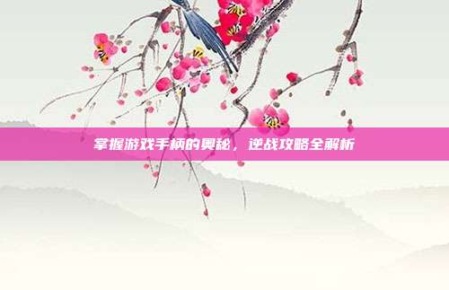掌握游戏手柄的奥秘，逆战攻略全解析