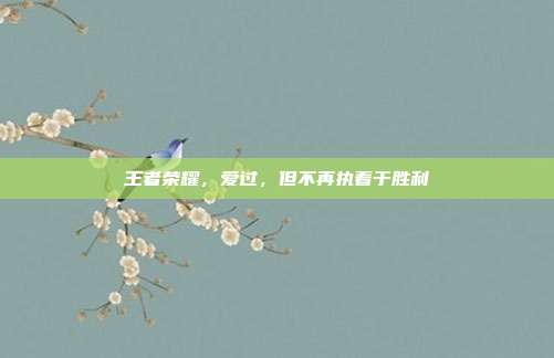 王者荣耀，爱过，但不再执着于胜利