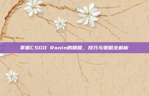 掌握CSGO Ronin的精髓，技巧与策略全解析
