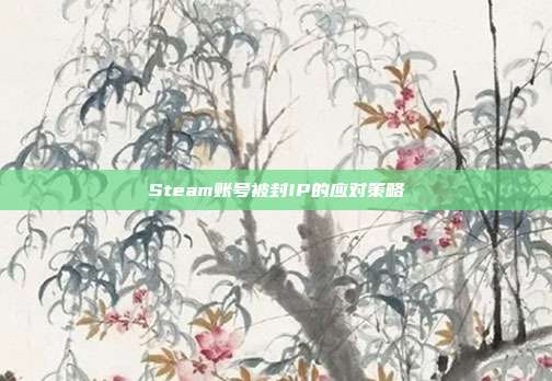 Steam账号被封IP的应对策略