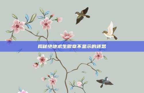 揭秘绝地求生徽章不显示的迷思