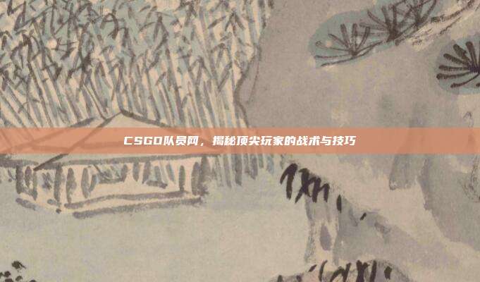 CSGO队员网,揭秘顶尖玩家的战术与技巧