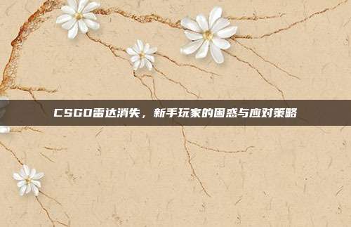 CSGO雷达消失,新手玩家的困惑与应对策略