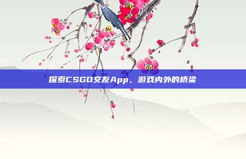 探索CSGO交友App,游戏内外的桥梁