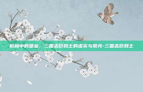 枪林中的壁垒,三国志巨戟士的虚实与荣光-三国志巨戟士