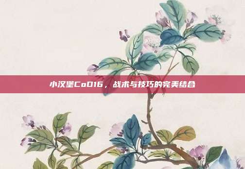 小汉堡CoD16，战术与技巧的完美结合