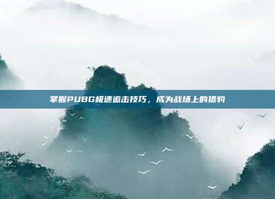 掌握PUBG极速追击技巧，成为战场上的猎豹