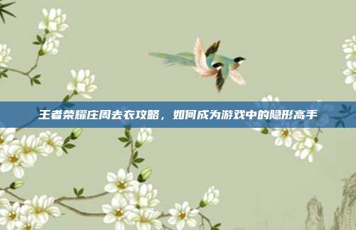 王者荣耀庄周去衣攻略，如何成为游戏中的隐形高手