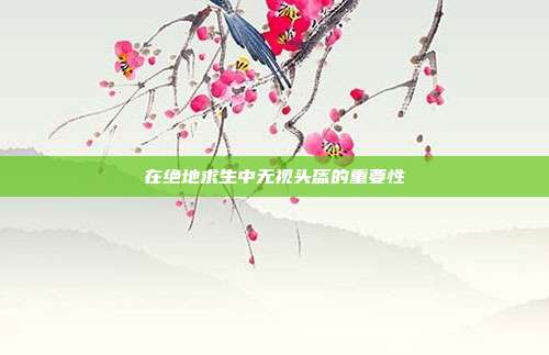 在绝地求生中无视头盔的重要性